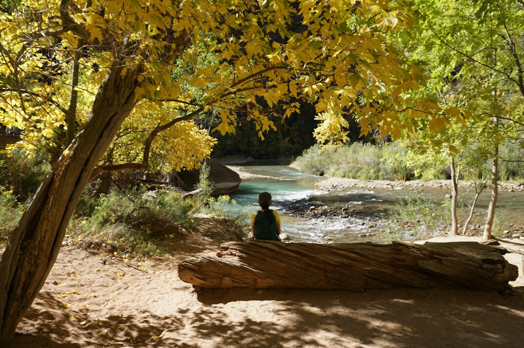 person doing yoga outdoors