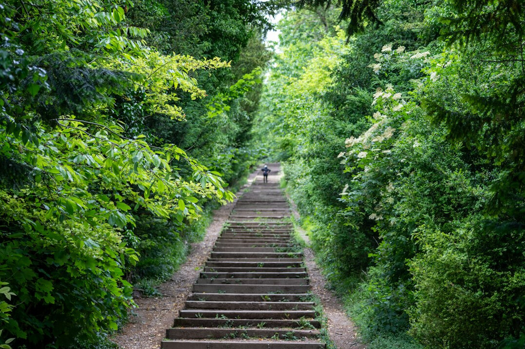 healthy living in steps
