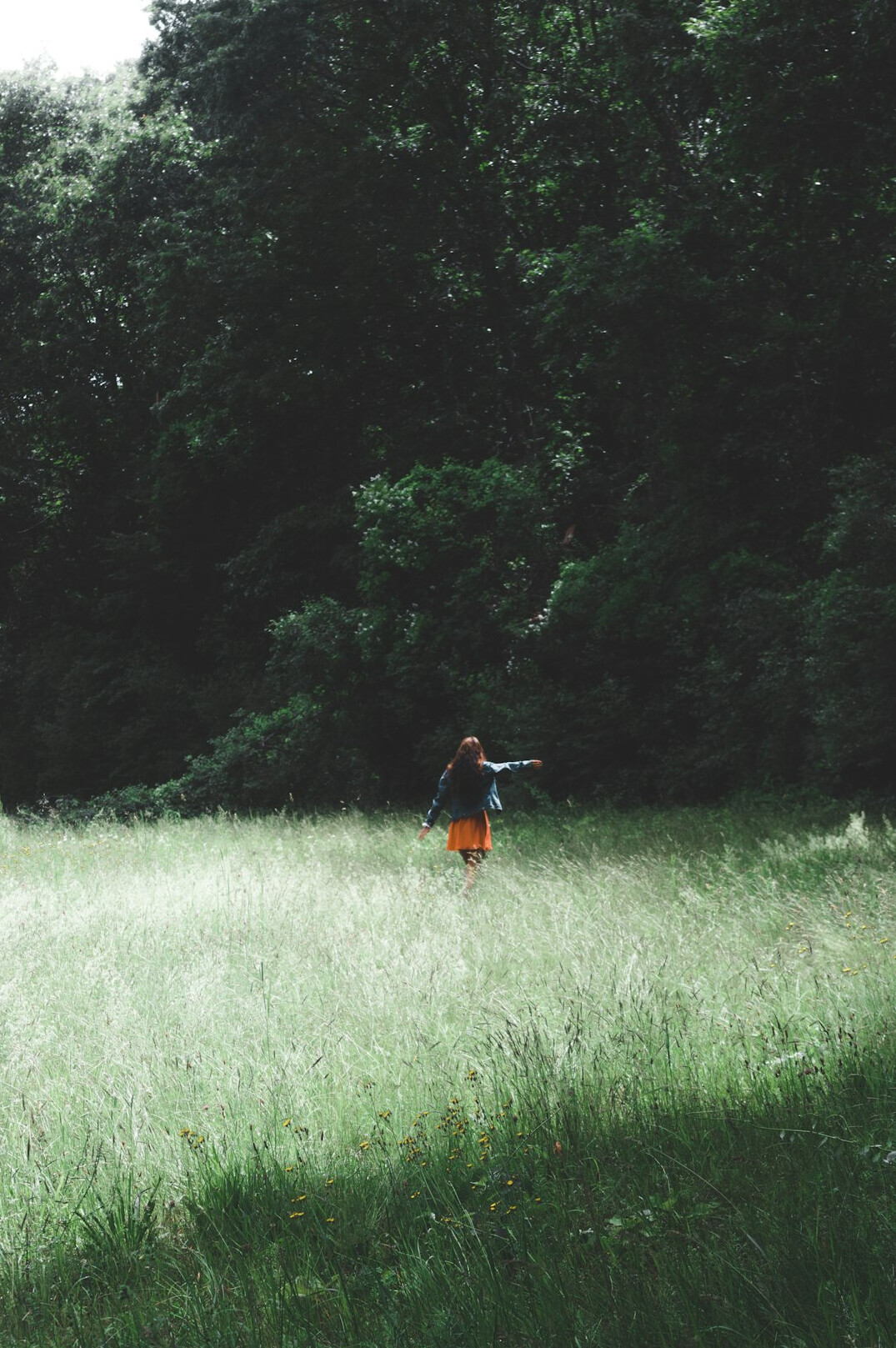 person walking in nature