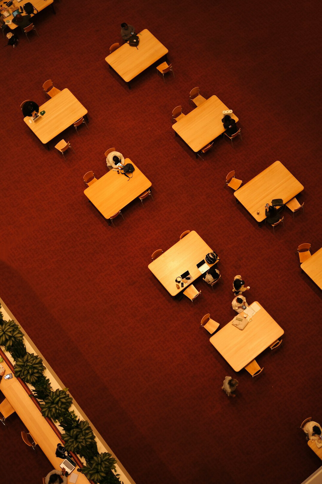 person studying at desk
